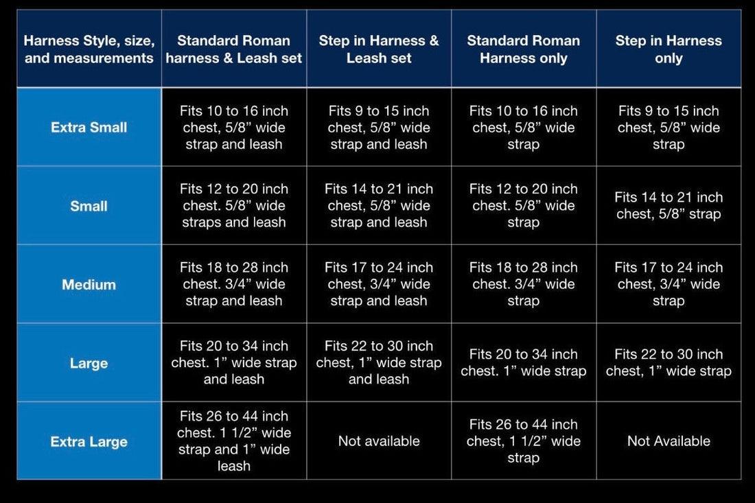 STEP IN BUNDLE - RAINBOW (5 PIECES)