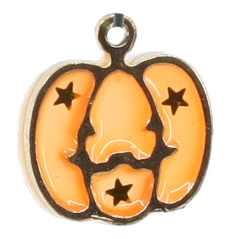 Halloween and Thanksgiving Charms